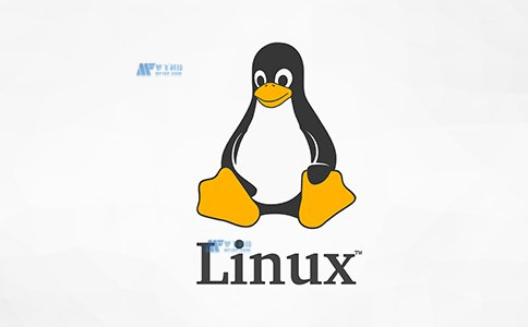 在Linux服务器上实现实时系统监控和警报的方法有哪些？